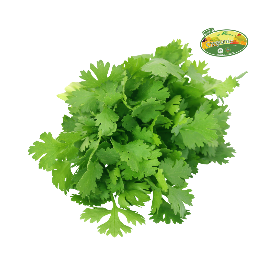 S&R Organic Coriander approx 100g